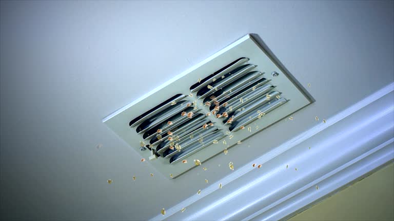Best Local Air Duct Cleaning Services  in Gordon, NE
