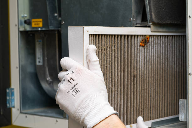 Best Local Air Duct Cleaning Services  in Gordon, NE